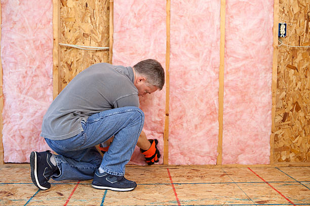 Best Types of Insulation in Mbrian Park, CA